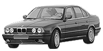 BMW E34 P2428 Fault Code